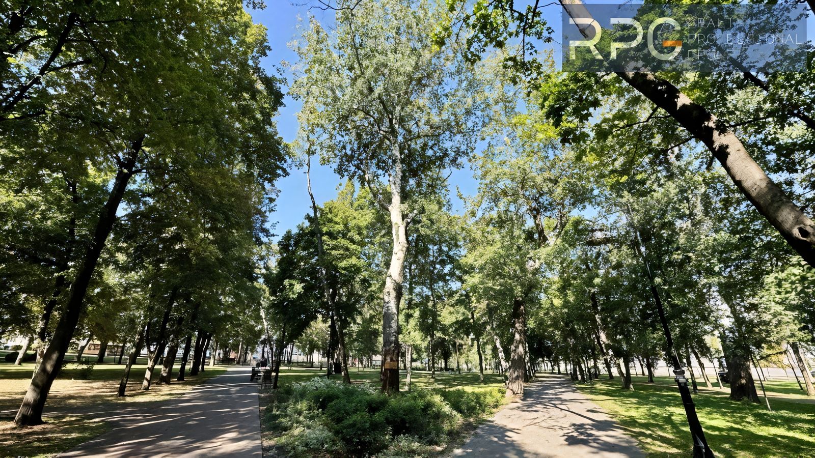 1832732059658778