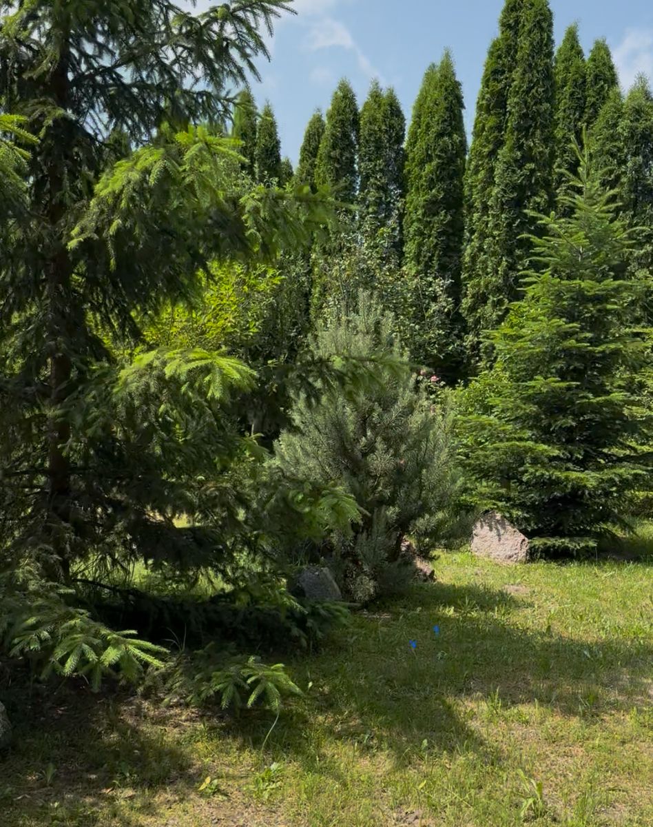1835345242194780