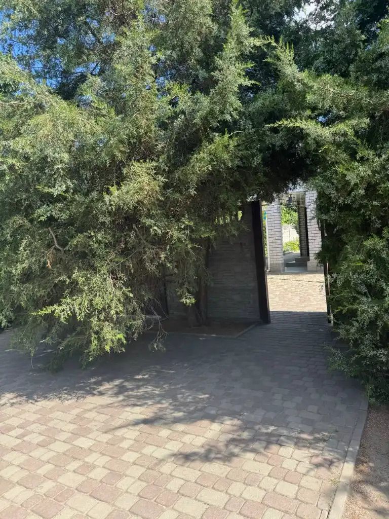 1839077532116786