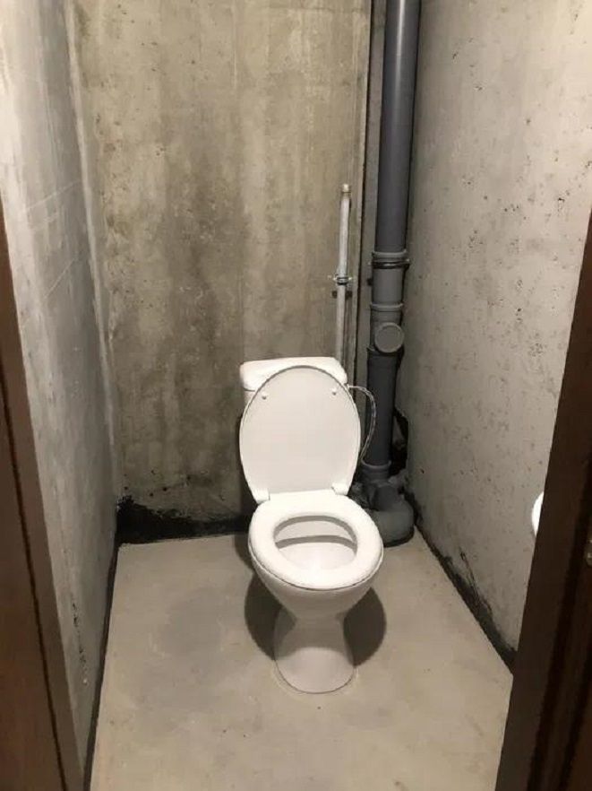 1832531776563796