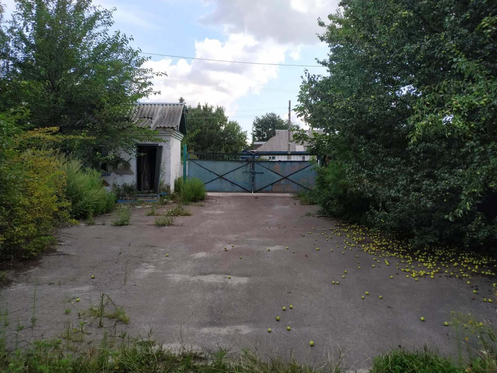 1839879564065796