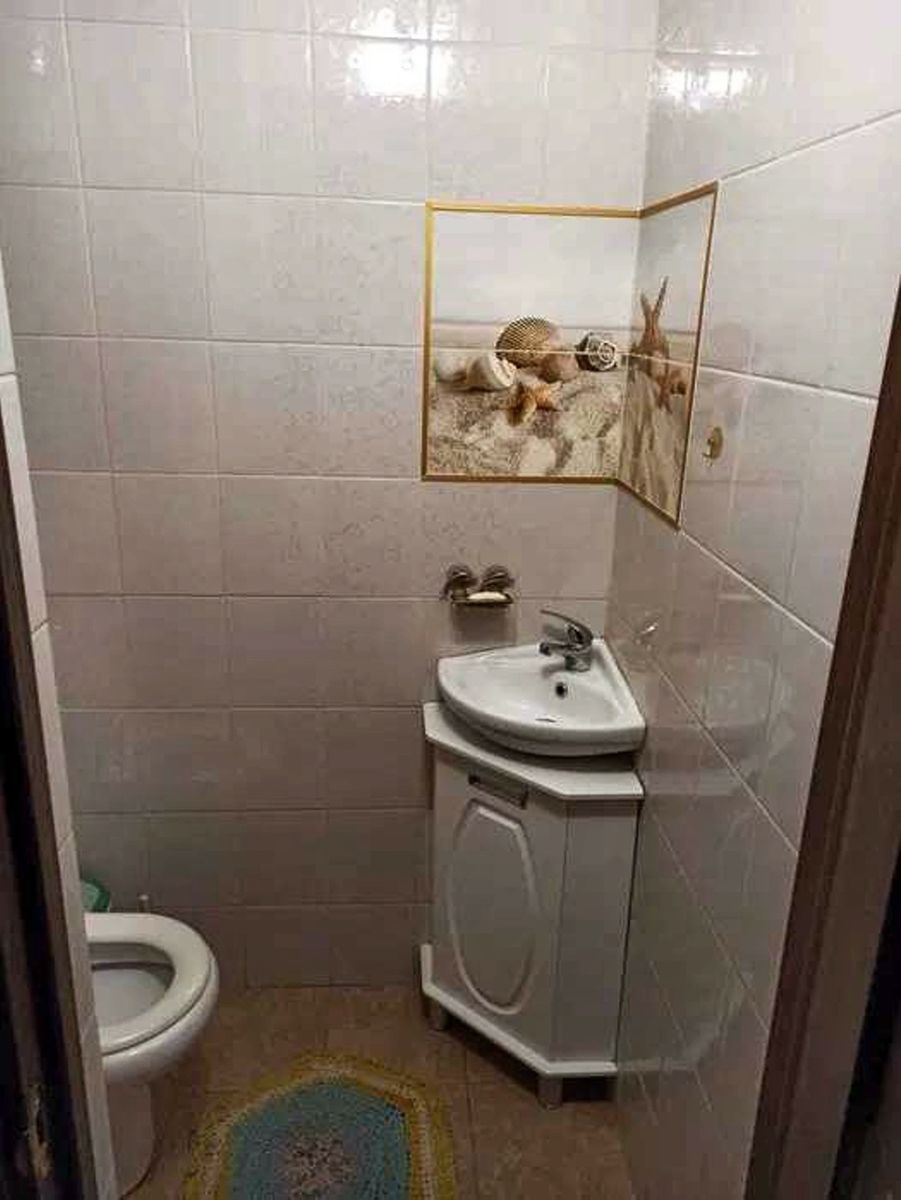 1831555705656799
