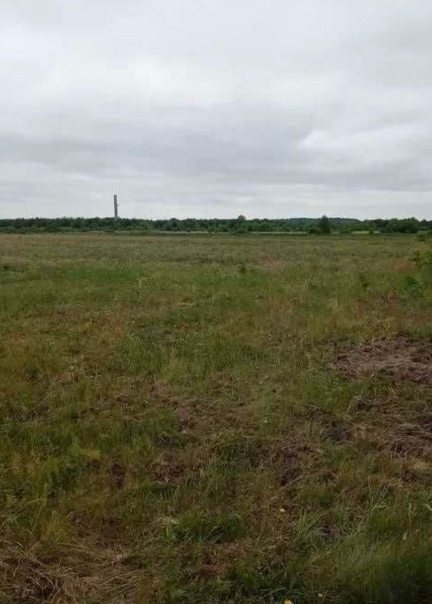 1827206165628806