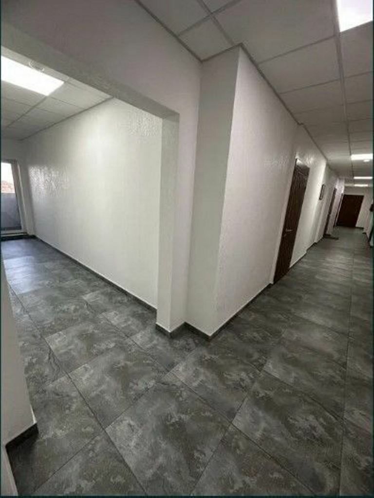 1833557767284810