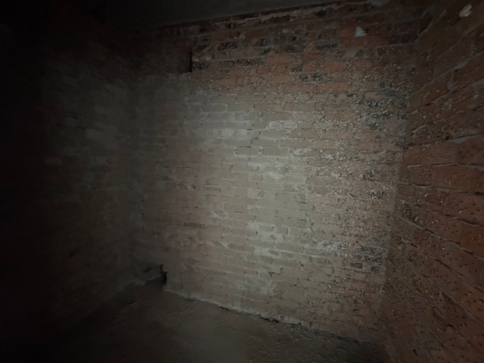 1837171784376811