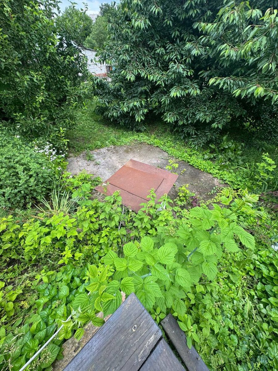 1838557521429817