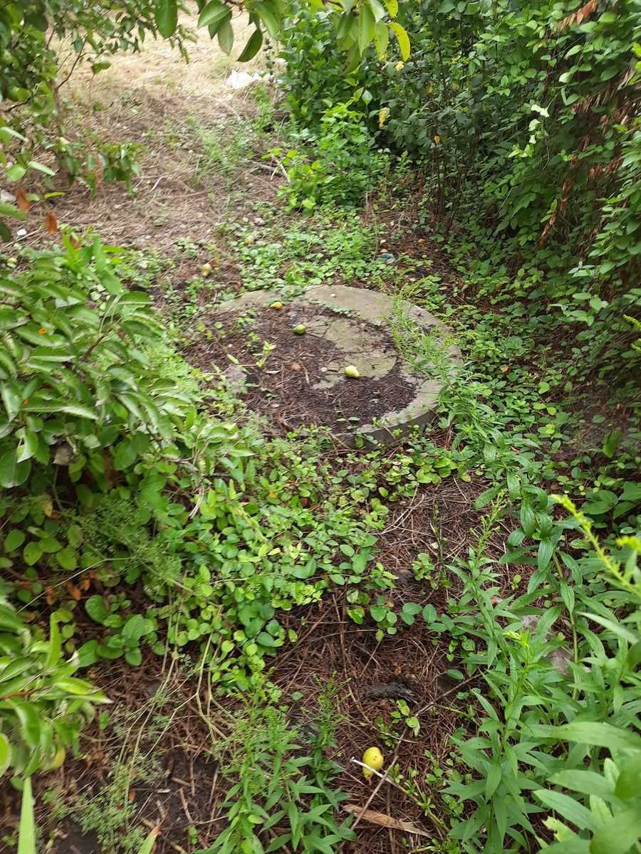 1839783036177824