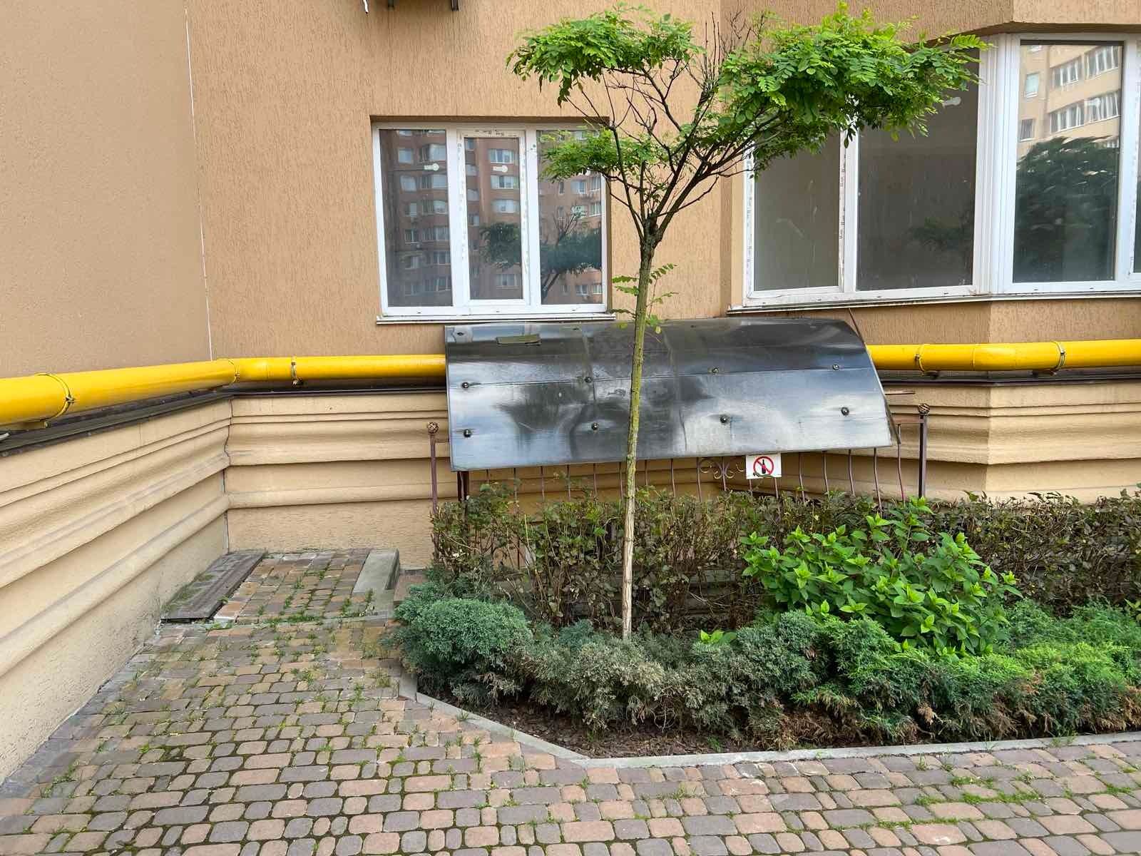 1835623565326827