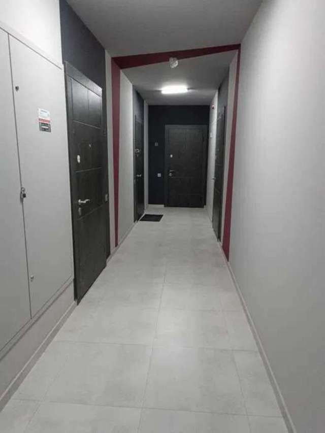 1832820895204831