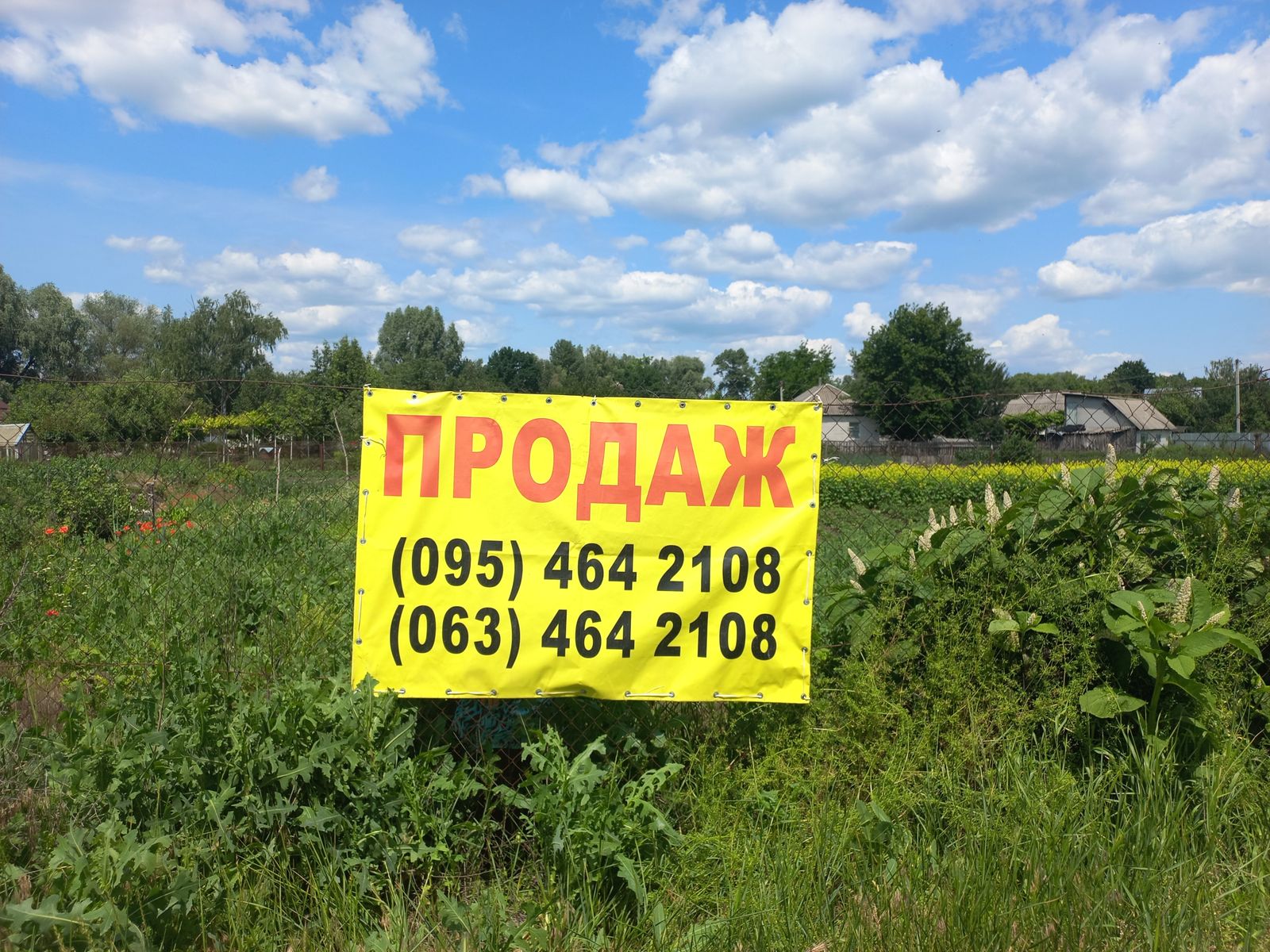 1835298916388837