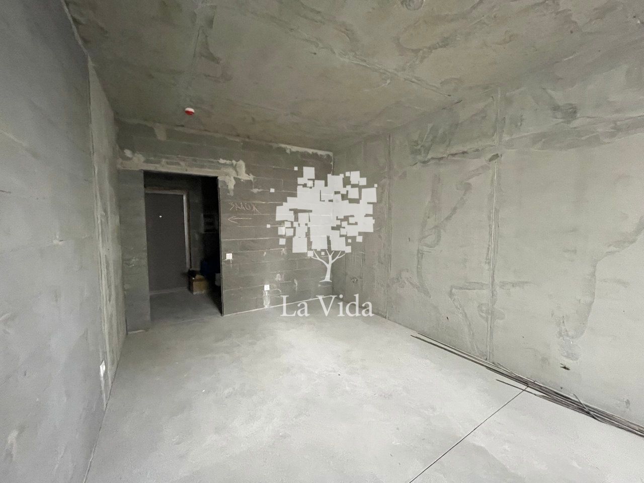 1832549874958842