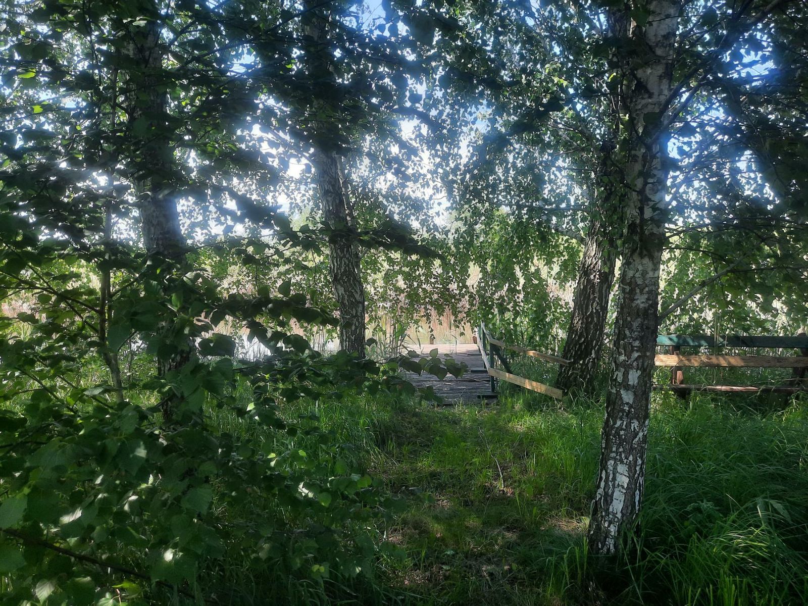 1833813454922847
