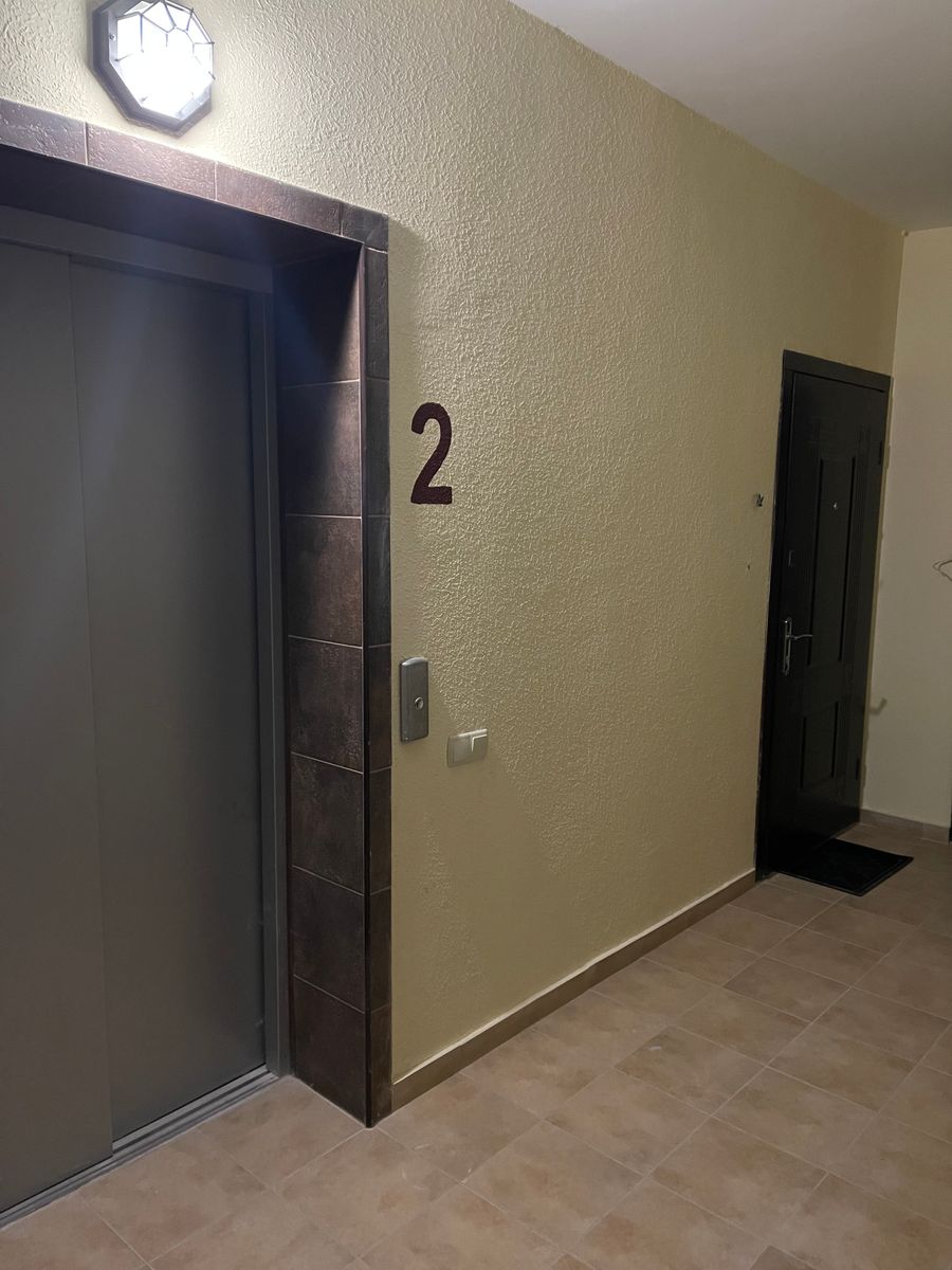 1832577142696851