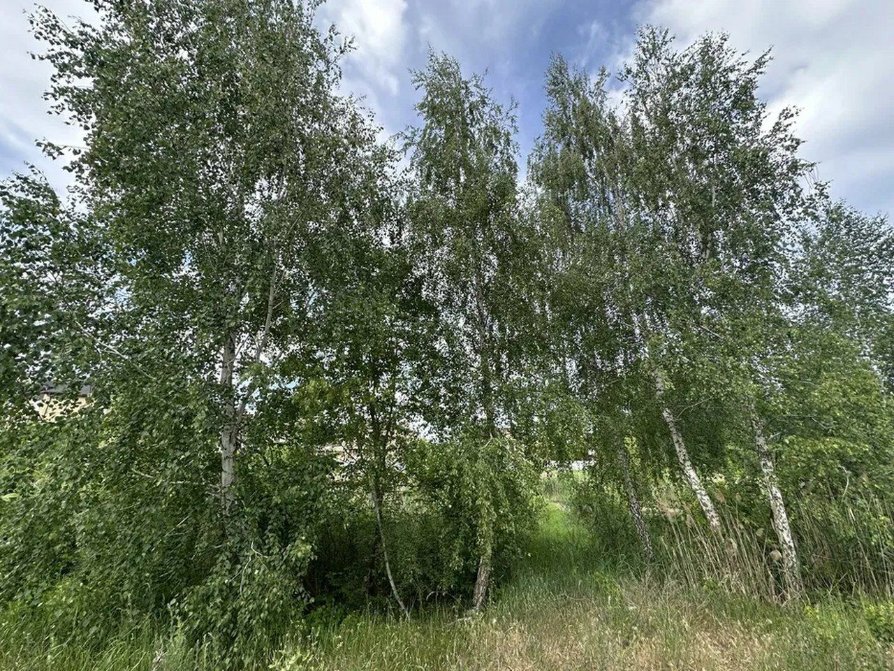 1834078161697852