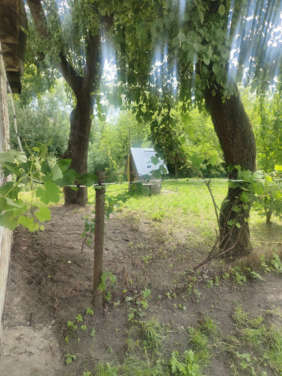 1838704246047854
