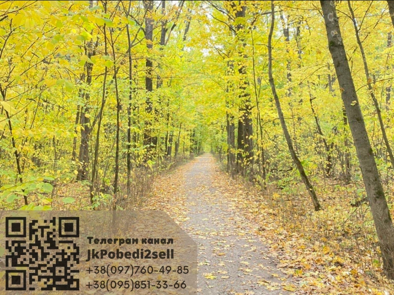 1837997170647863