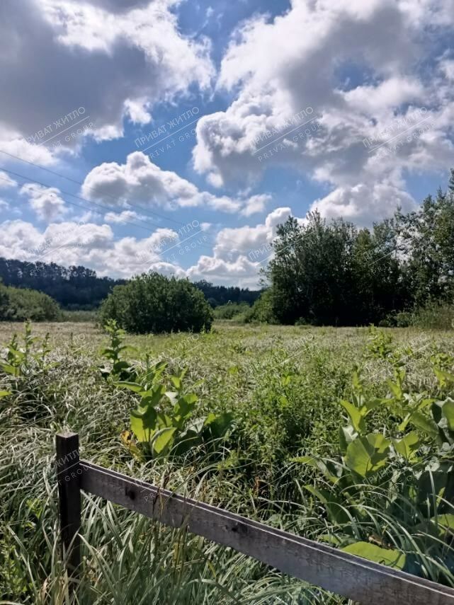 1835166554988865