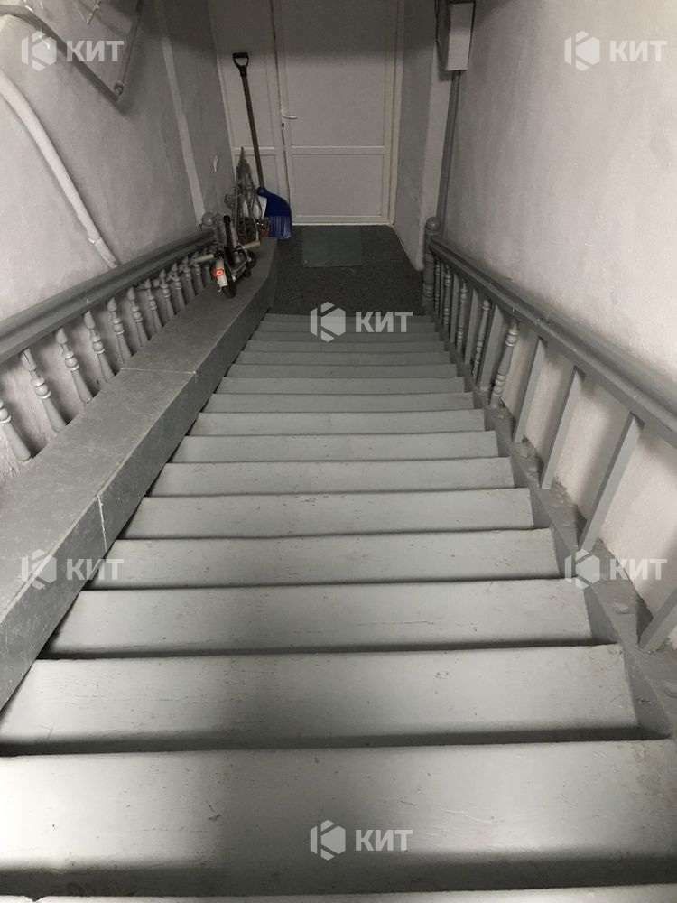1828098431376087