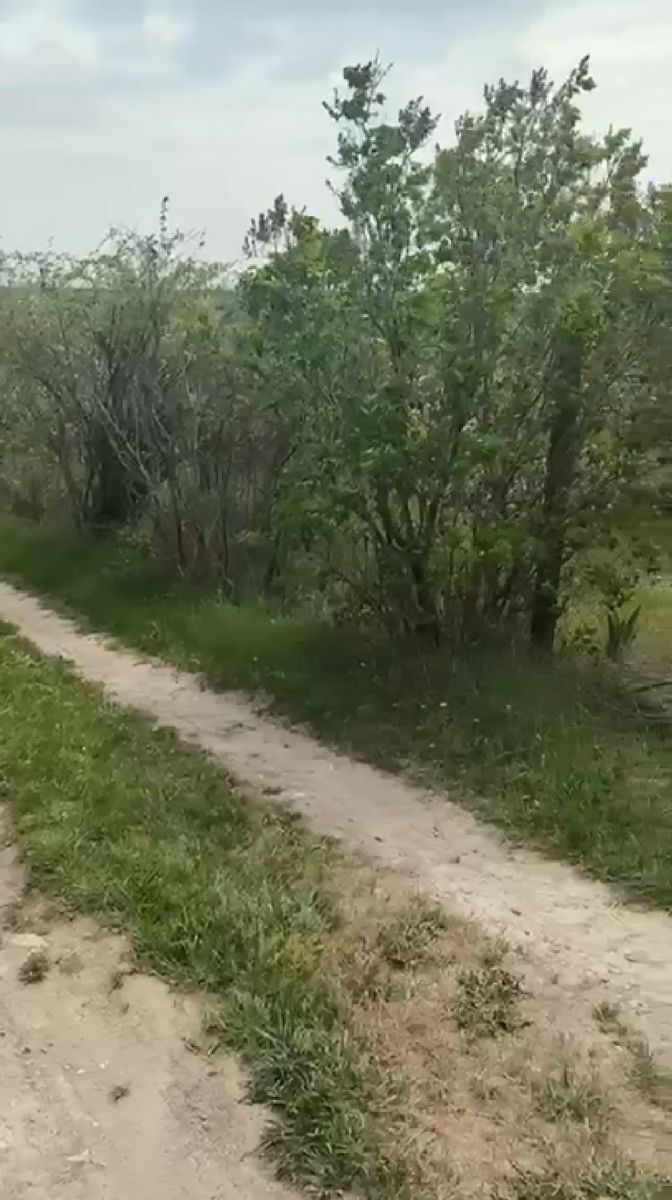1836074835231874