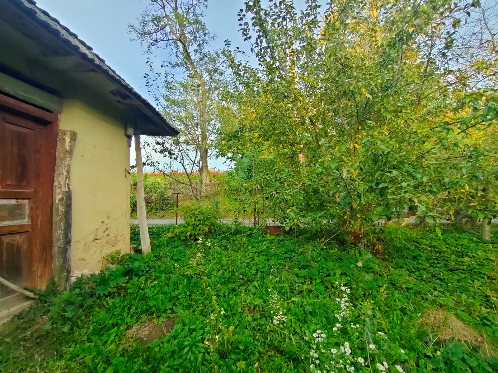 1812875513604088