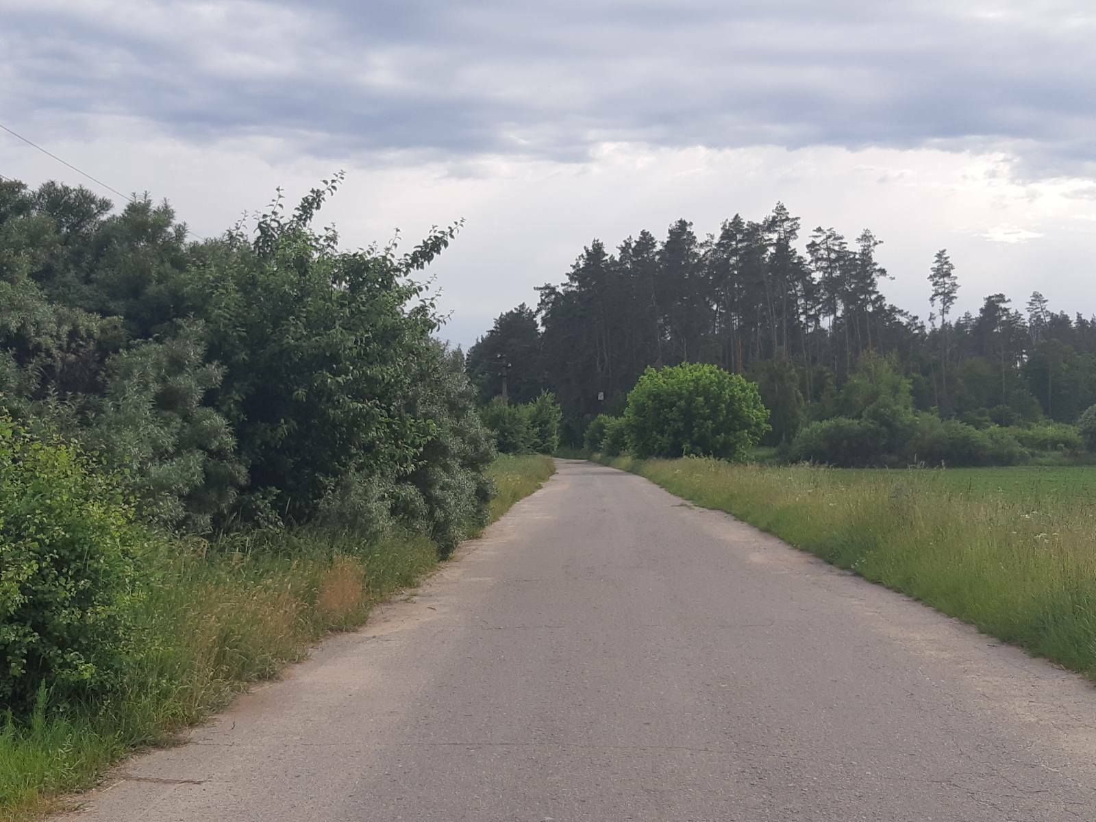 1737347836017880