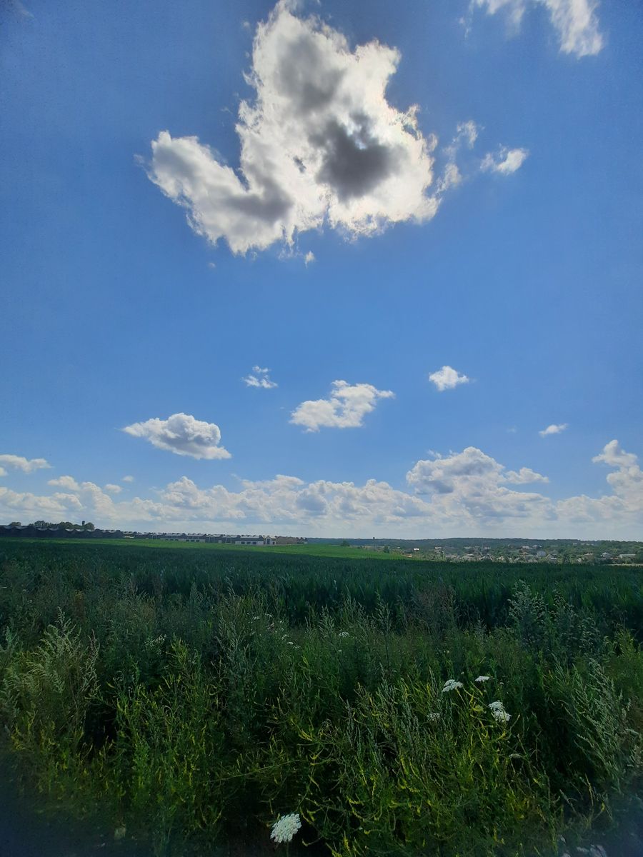 1838267481416885