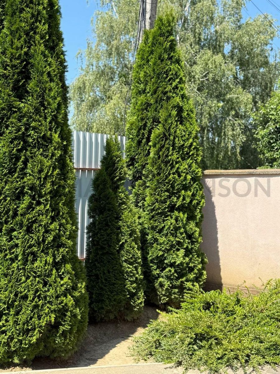 1835104493314899.jpg