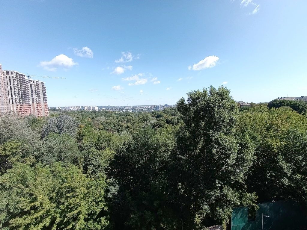 1806445833305901