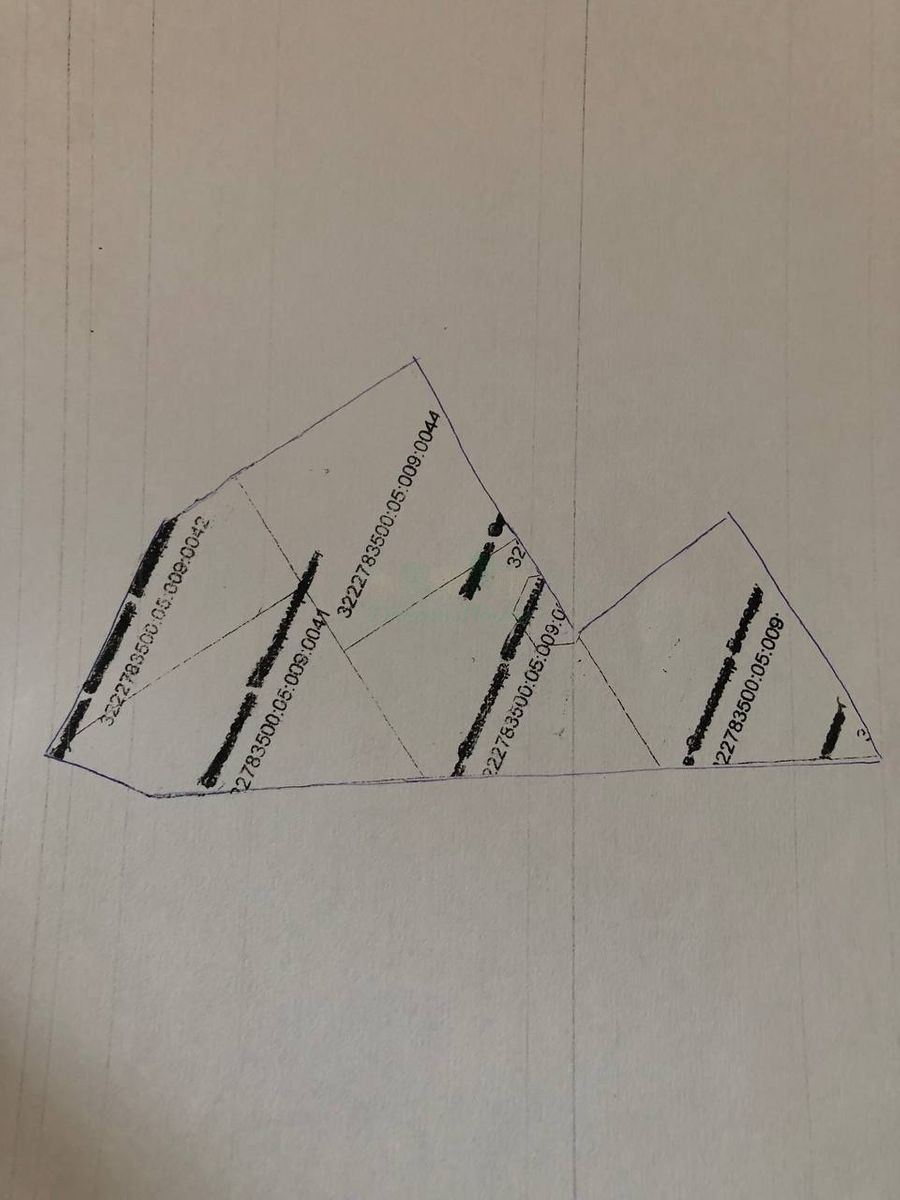 1810353076193902