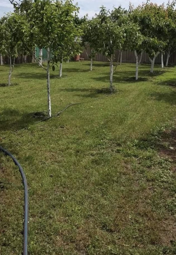 1836629732947904