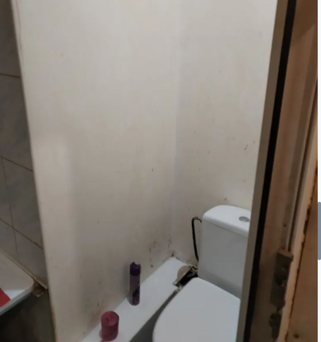 1831132923607913