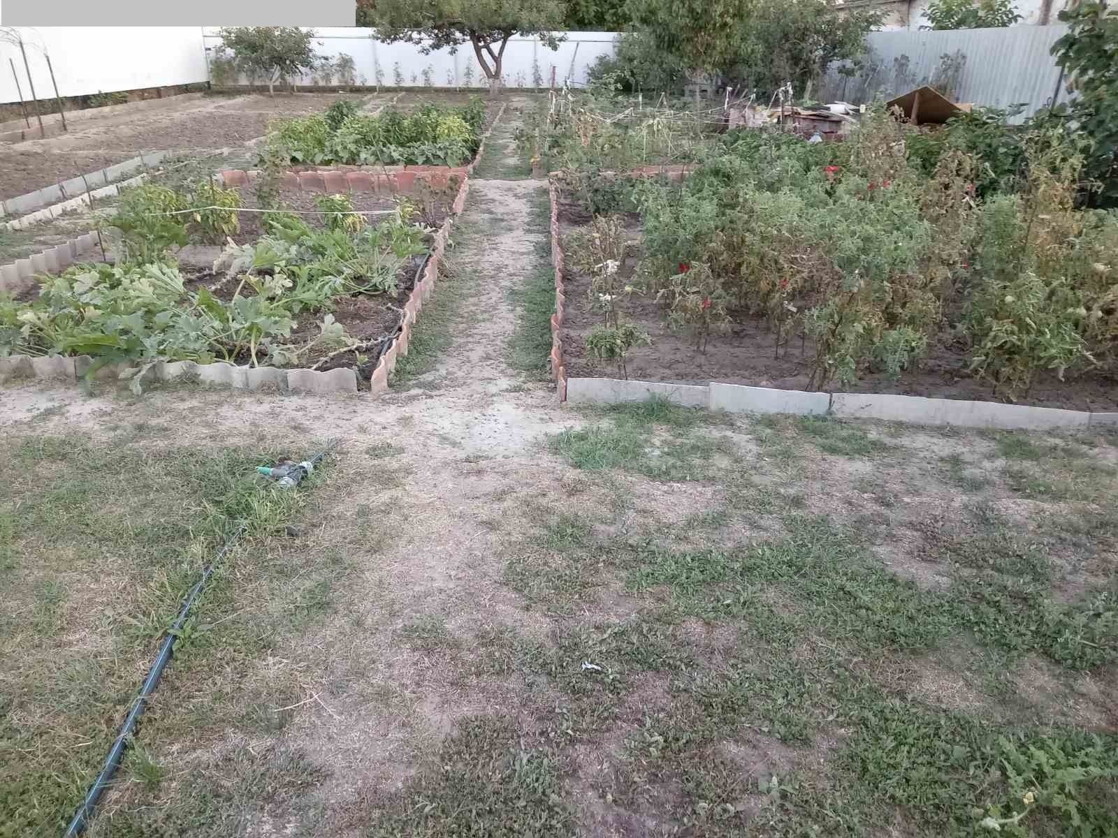 1842492772699916