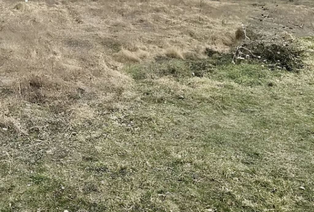 1841052059985922