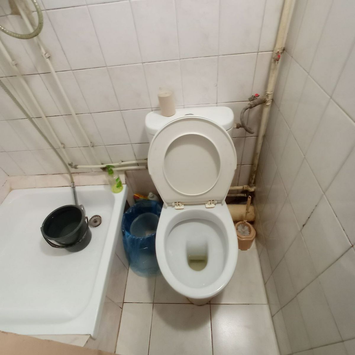 1837516655743926