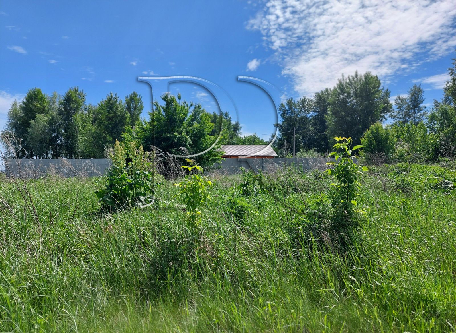 1833804768868931