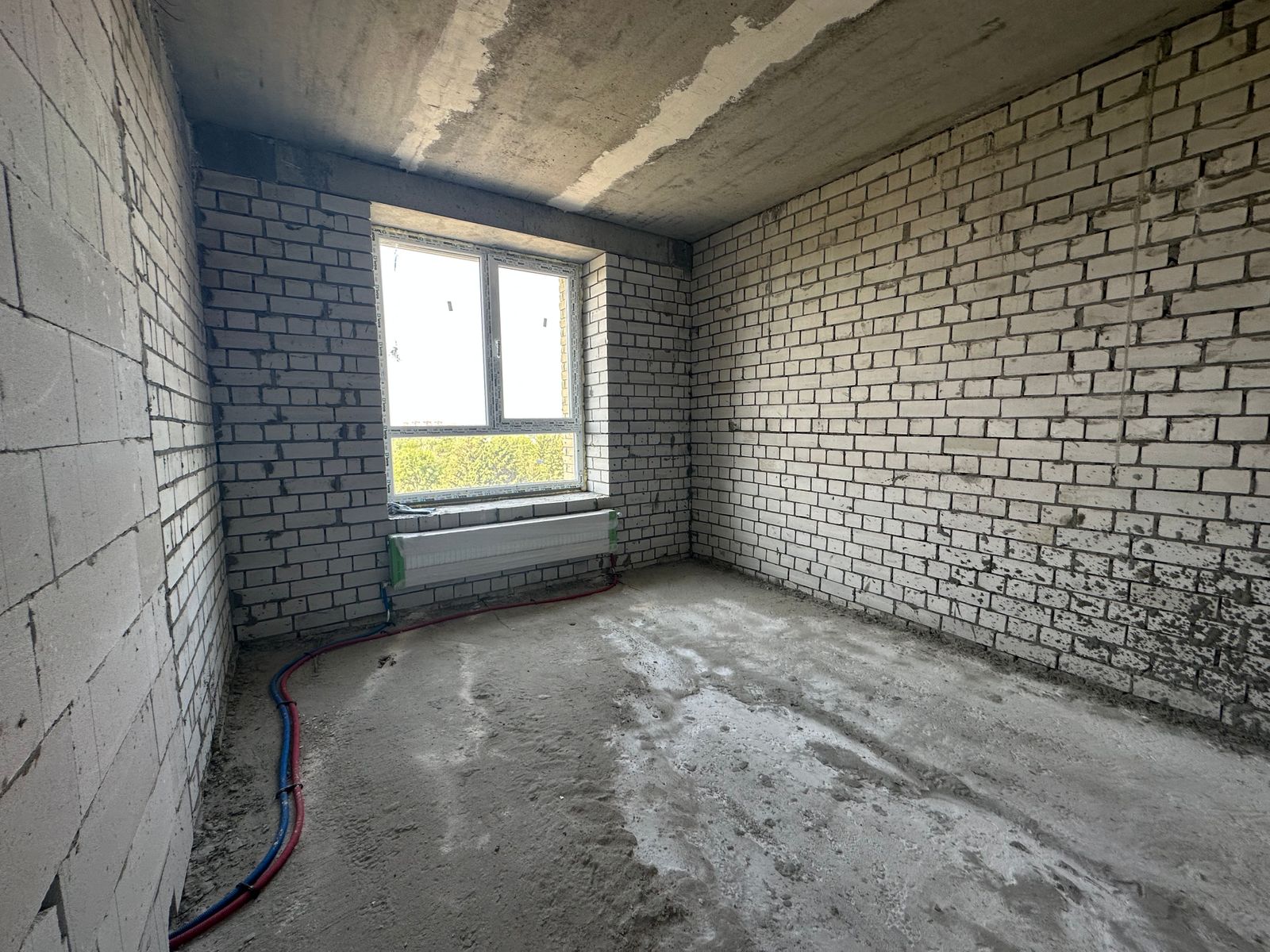 1782467572303934