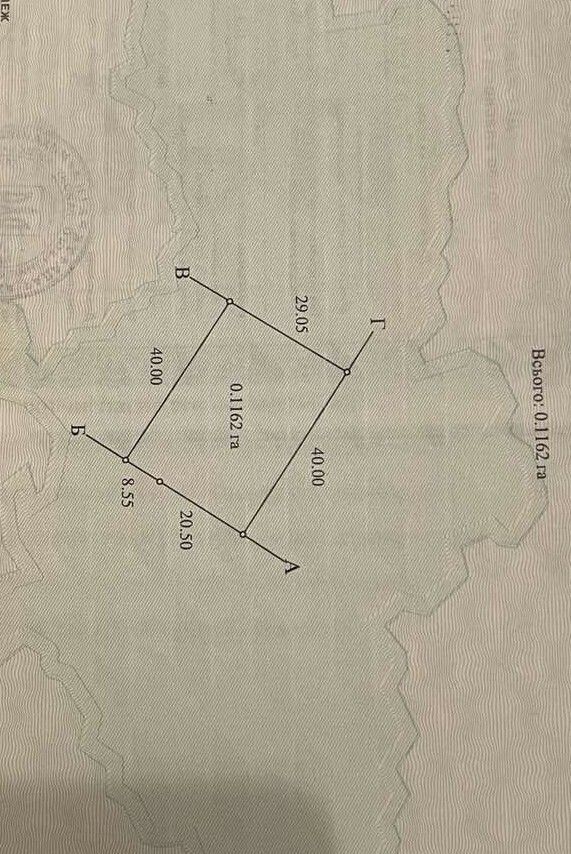 1831001924855940