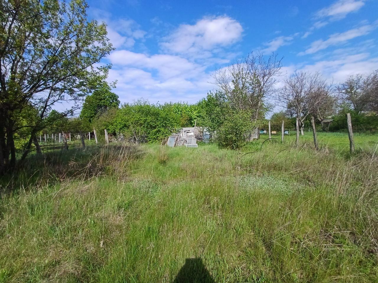 1832013805713942
