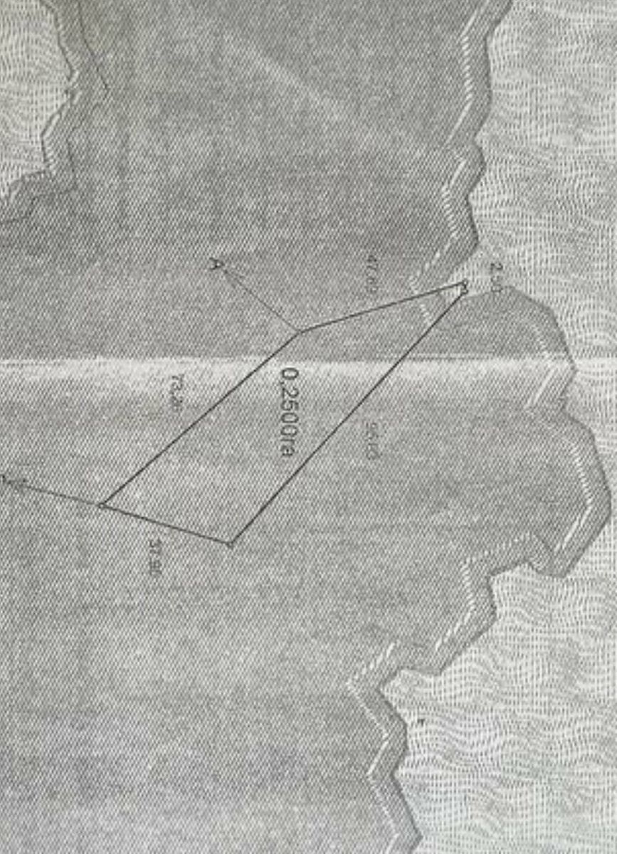 1834177146195947