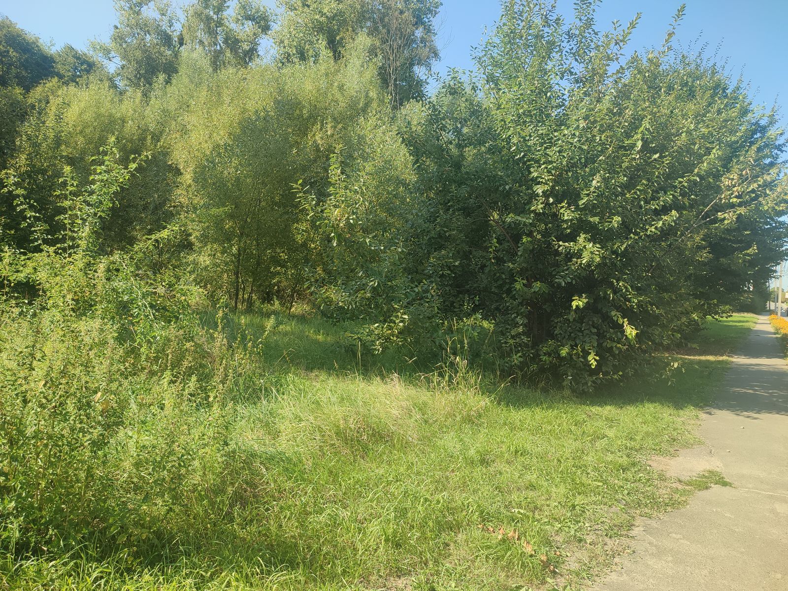 1841724532014952