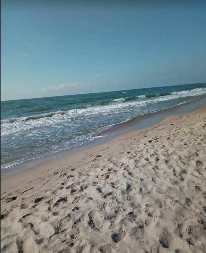 1838260695755956