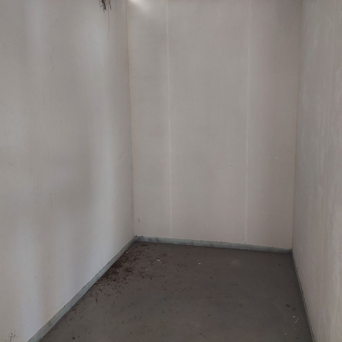 1835072413934969