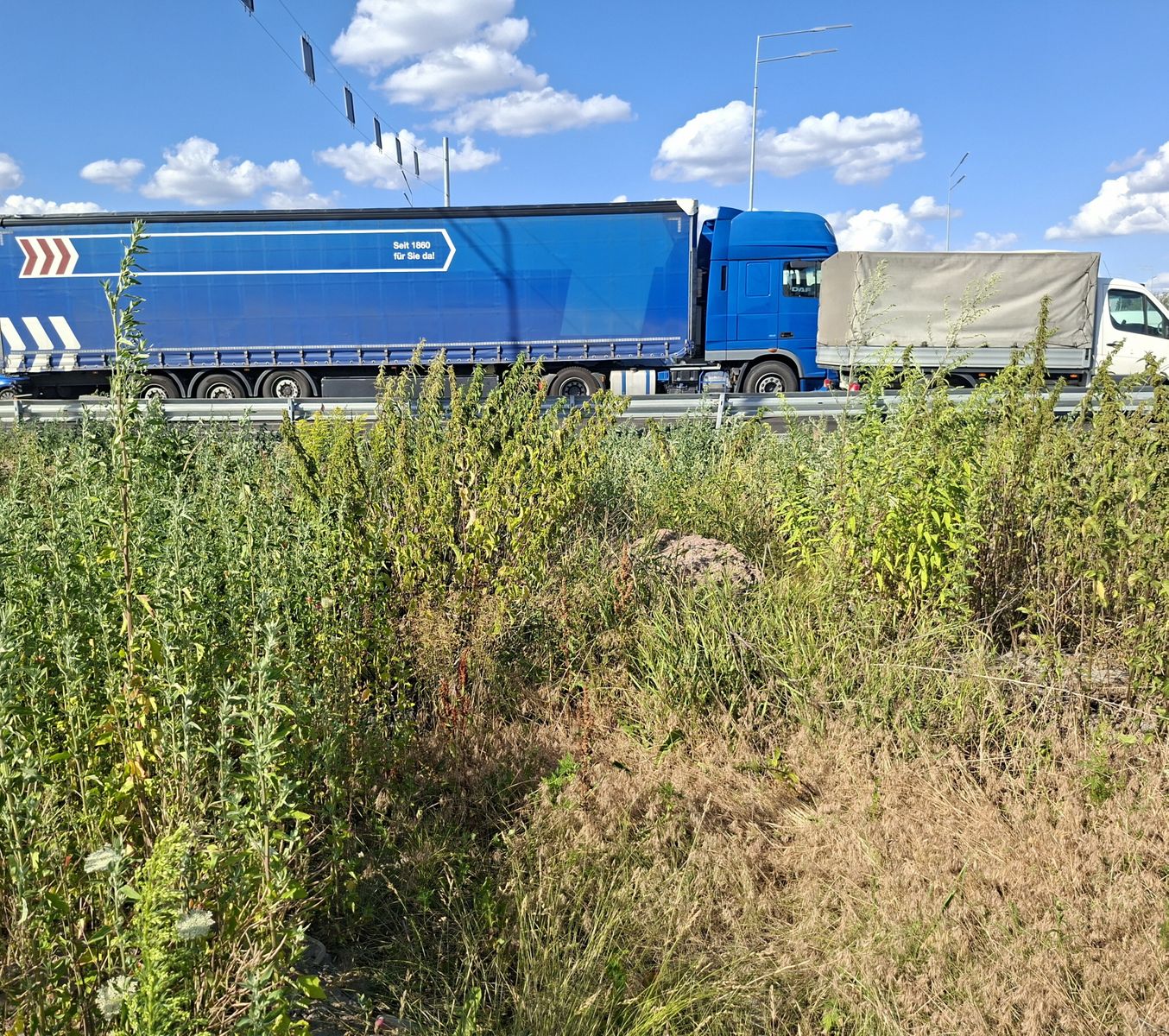 1837902196052097