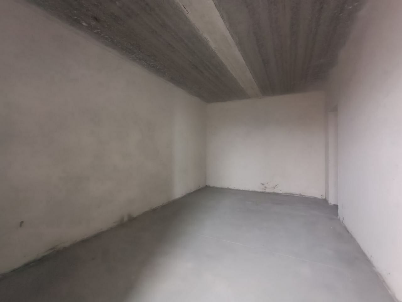 1832369582013975