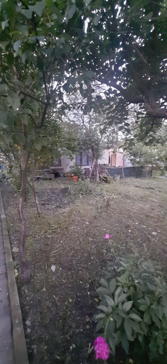 1835711004801982