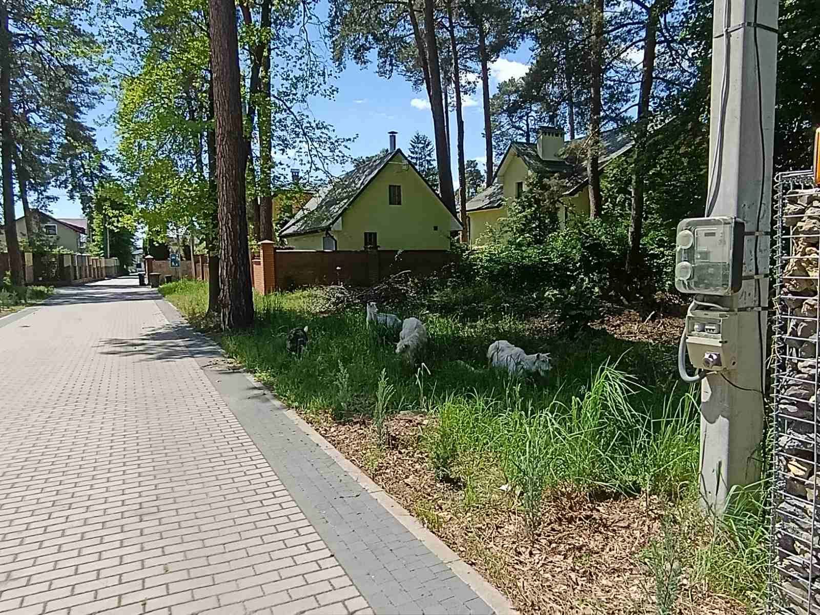 1839070519581987
