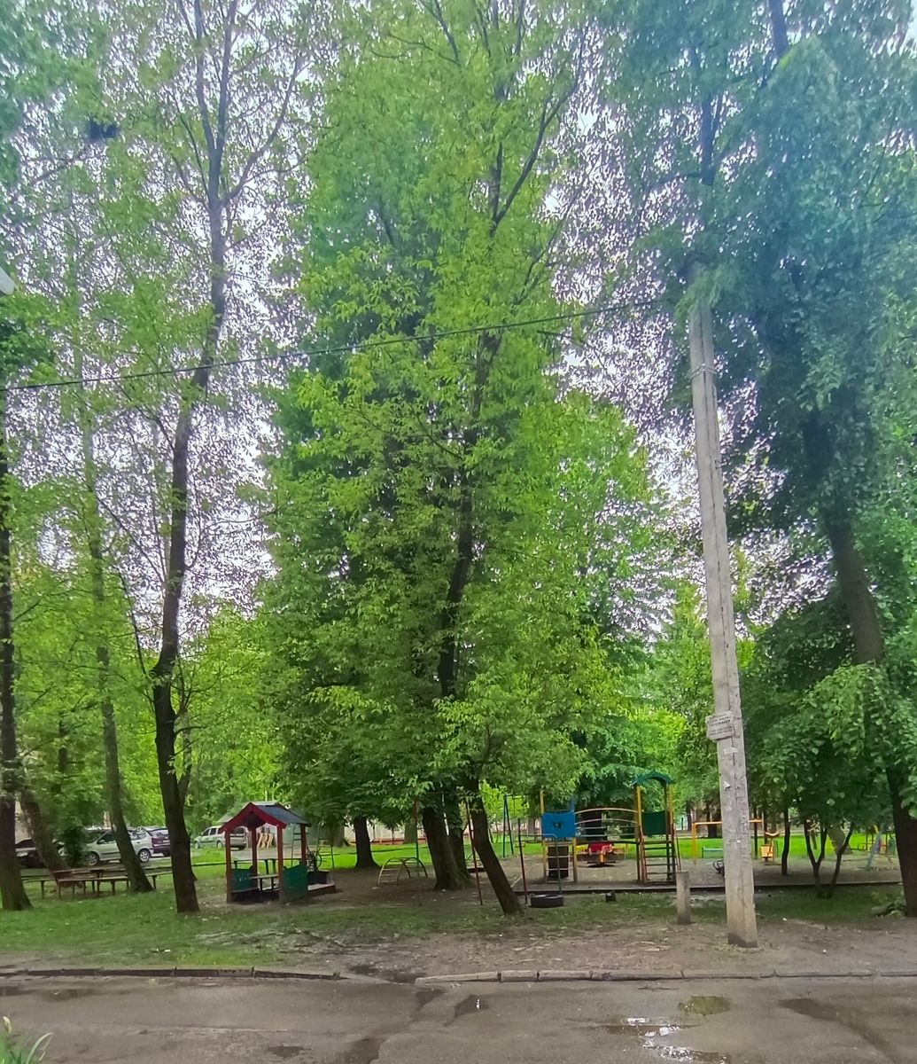 1833445773852991